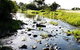 Gooseponds, North Mackay - thumb 3