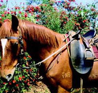 Western Plains Riding Centre - Accommodation Mooloolaba