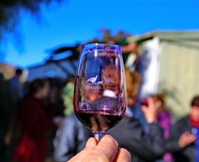 Domaine Asmara - Accommodation Mooloolaba 5