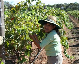 Domaine Asmara - Accommodation Mooloolaba 6