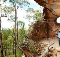 Pilliga National Park - Accommodation Mooloolaba