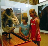 Australian Museum Diprotodon Exhibition - Accommodation Mooloolaba