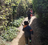 The Tangled Maze  Mistydowns Nursery - Accommodation Mooloolaba