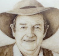 Doris Golder Wool Art Gallery - Accommodation Mooloolaba