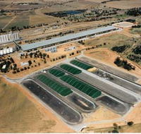 Co-operative Bulk Handling CBH Wheat Storage and Transfer Depot - Accommodation Mooloolaba