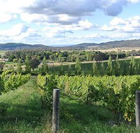 Sassy Wines - Accommodation Mooloolaba