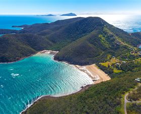 Birdwatching On Keswick Island - Accommodation Mooloolaba 1