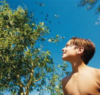 Bushwalking on Keswick Island - Accommodation Mooloolaba