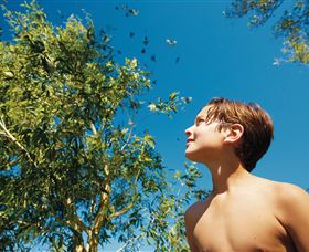 Bushwalking On Keswick Island - Accommodation Mooloolaba 0