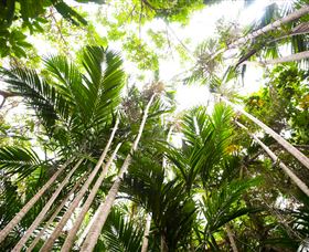 Bushwalking On Keswick Island - Accommodation Mooloolaba 1