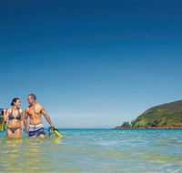 Snorkelling on Keswick Island - Accommodation Mooloolaba