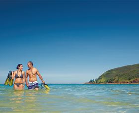 Snorkelling On Keswick Island - Accommodation Mooloolaba 0