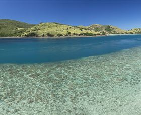Snorkelling On Keswick Island - Accommodation Mooloolaba 1