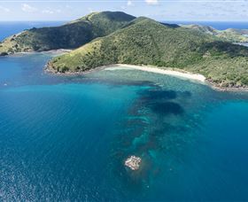 Snorkelling On Keswick Island - Accommodation Mooloolaba 2