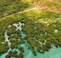 The Singapore Shipwreck Dive Site - Keswick Island - Accommodation Mooloolaba