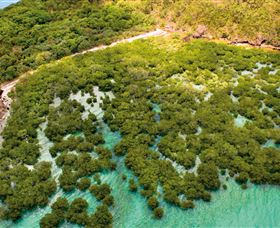 The Singapore Shipwreck Dive Site - Keswick Island - Accommodation Mooloolaba 0