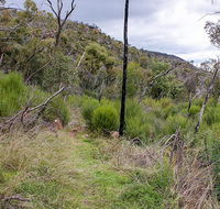 Lynchs loop trail - Accommodation Mooloolaba