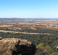 Basin Gully to Eualdrie lookout track - Accommodation Mooloolaba