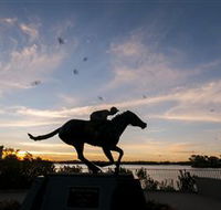 Black Caviar Statue - Accommodation Mooloolaba