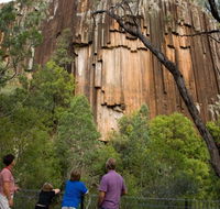 Sawn Rocks walking track - Accommodation Mooloolaba