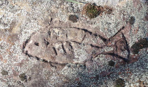 Terry Hie Hie Aboriginal Area - Accommodation Mooloolaba 3