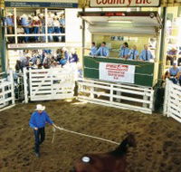 Gracemere Exhibition Complex - Accommodation Mooloolaba