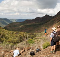 Yulludunida walking track - Accommodation Mooloolaba