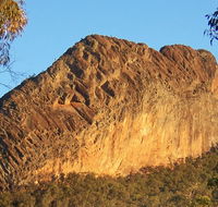 Kaputar scenic drive - Accommodation Mooloolaba