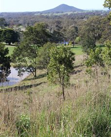 Mt Piper Nature Conservation Reserve - Accommodation Mooloolaba 1