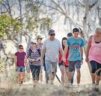 Winton Wetlands Reserve - Accommodation Mooloolaba
