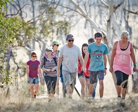 Winton Wetlands Reserve - Accommodation Mooloolaba 0