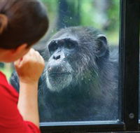The Rockhampton Zoo - Accommodation Mooloolaba