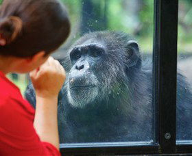 The Rockhampton Zoo - Accommodation Mooloolaba 0