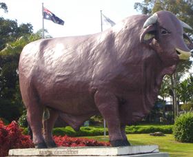 Rockhampton Bull Statues - Accommodation Mooloolaba 0