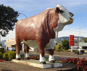 Rockhampton Bull Statues - Accommodation Mooloolaba 2