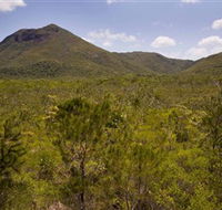 Kutini-Payamu Iron Range National Park CYPAL - Accommodation Mooloolaba