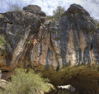 Borenore Karst Conservation Reserve - Accommodation Mooloolaba