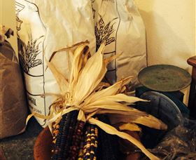  Accommodation Mooloolaba