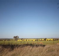 Cootamundra Bird Walk - Accommodation Mooloolaba