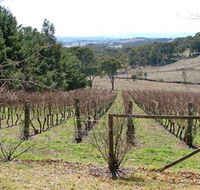 Habitat Vineyard - Accommodation Mooloolaba