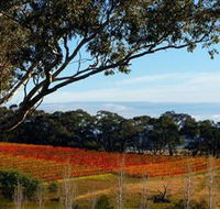 Bloodwood Estate - Accommodation Mooloolaba