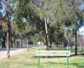 Memorial Avenue In Cowra - Accommodation Mooloolaba 1