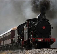 Lachlan Valley Railway - Accommodation Mooloolaba