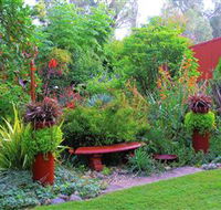 Out of Town Nursery and Humming Garden - Accommodation Mooloolaba