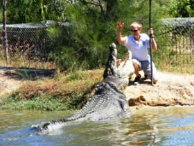 Koorana Crocodile Farm - Accommodation Mooloolaba 1