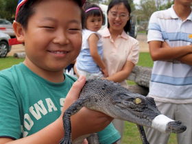 Koorana Crocodile Farm - Accommodation Mooloolaba 2