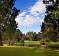 Commercial Golf Course - Accommodation Mooloolaba