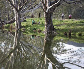 Wagirra Trail And Yindyamarra Sculpture Walk - Accommodation Mooloolaba 1