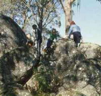 Mount Samaria State Park - Accommodation Mooloolaba