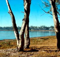 Lake Broadwater Conservation Park - Accommodation Mooloolaba